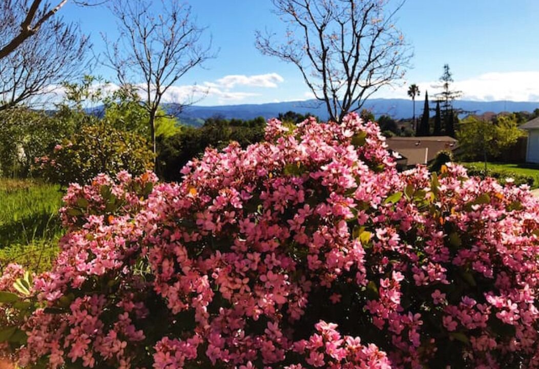 Photo of Outdoor in Edenvale