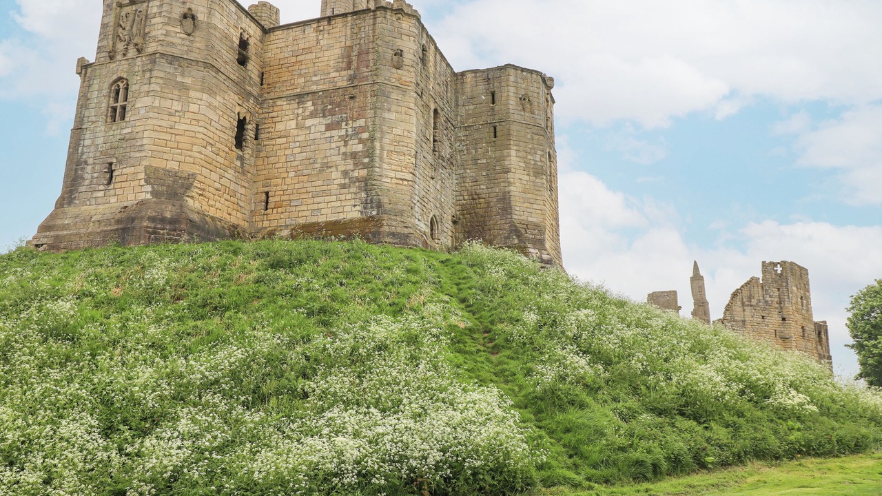 Photo of Others in Warkworth