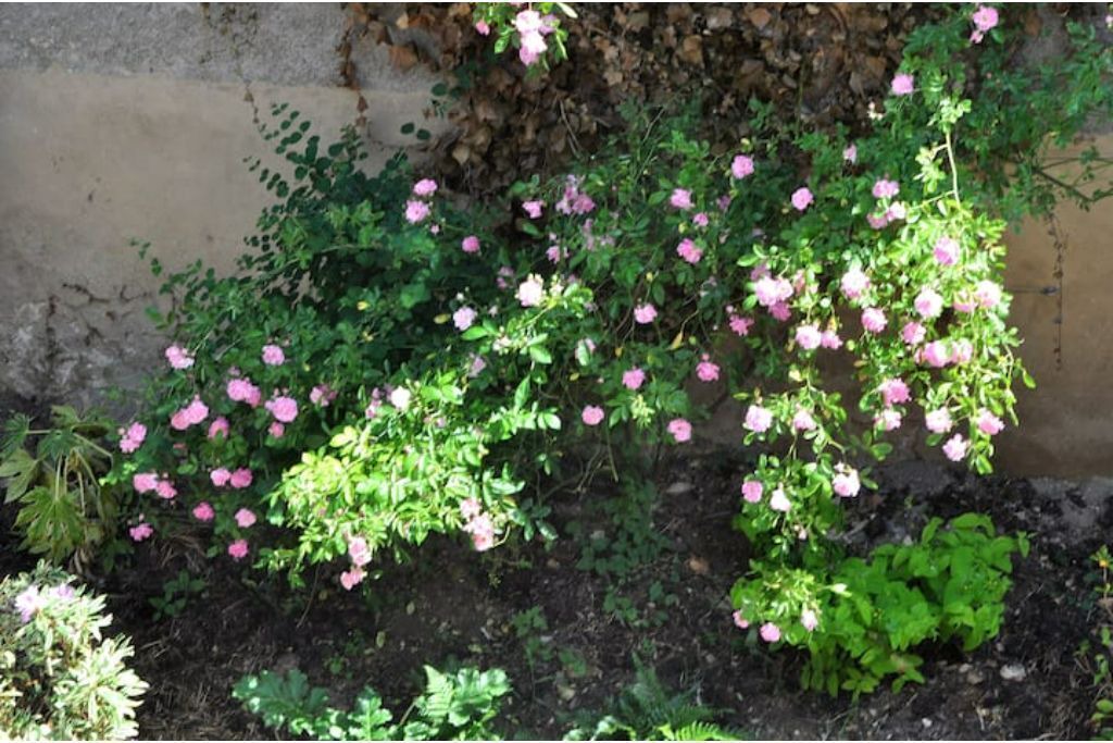 Photo of Outdoor in Aubigny-sur-Nere