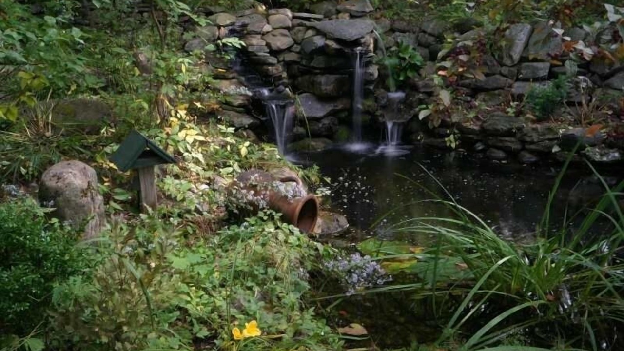 Photo of Others in Lac-Brome