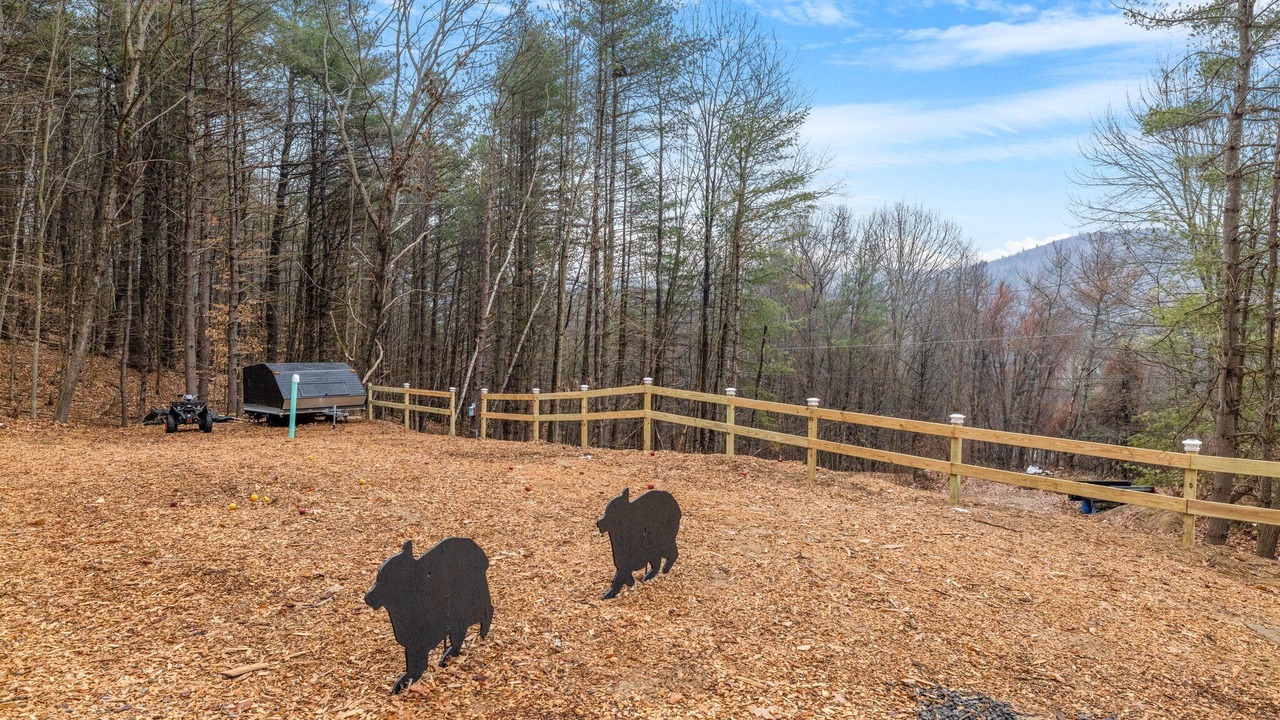 Photo of Outdoor in Ashland