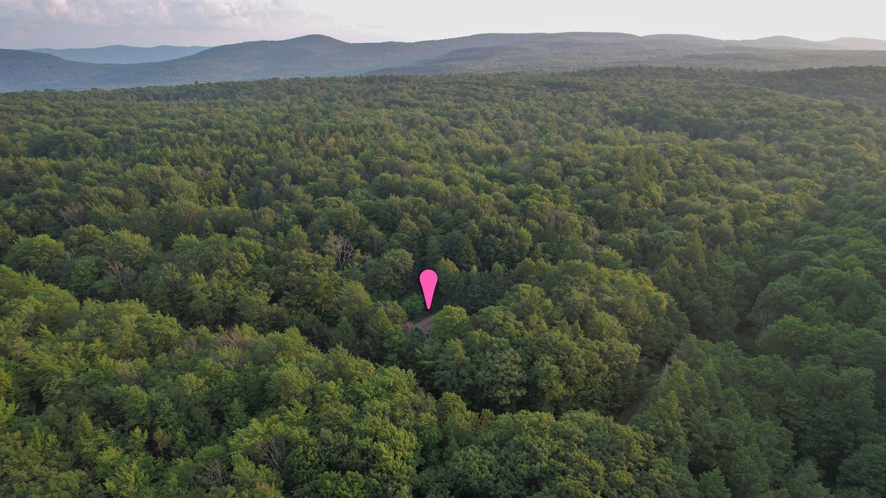 Photo of Outdoor in Town of Broome