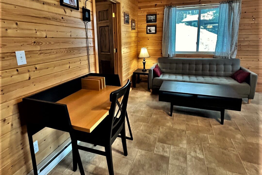 Photo of Livingroom in Sioux Narrows Nestor Falls