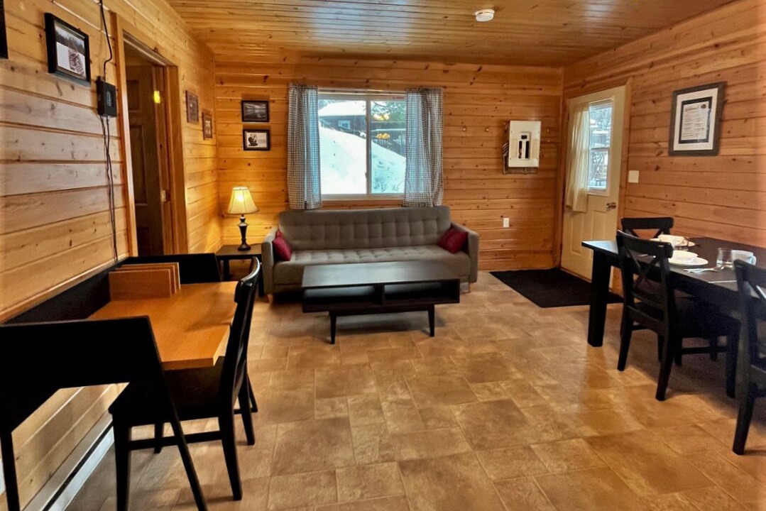 Photo of Livingroom in Sioux Narrows Nestor Falls