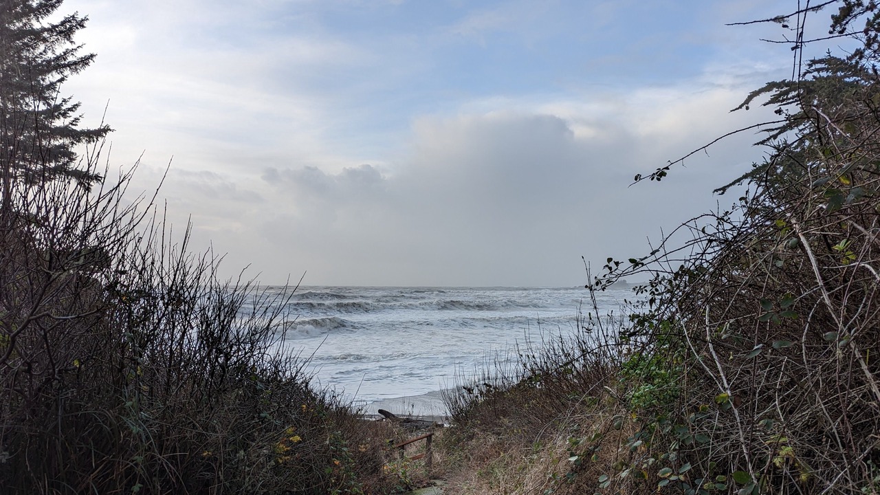 Photo of Others in Harbor