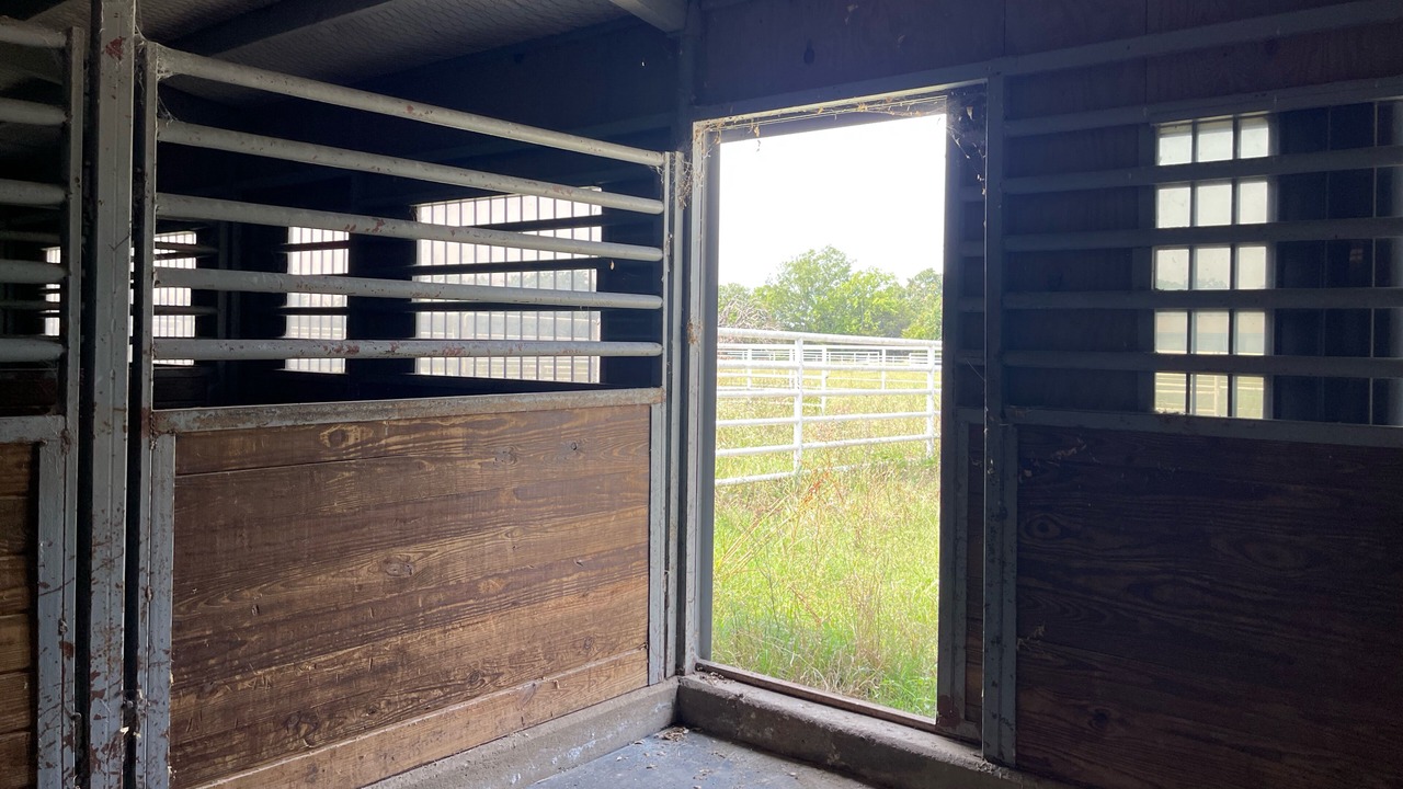 Photo of Outdoor in Elmo