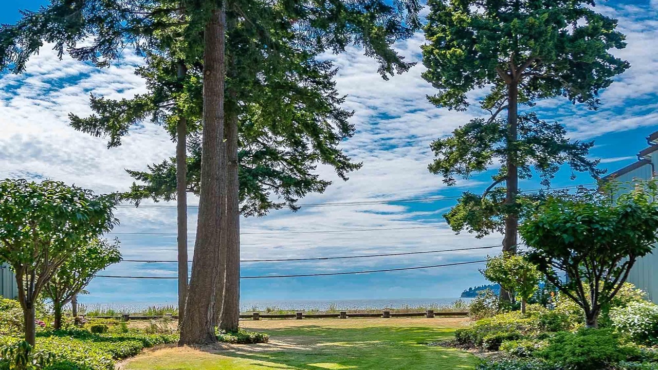 Photo of Others in Birch Bay