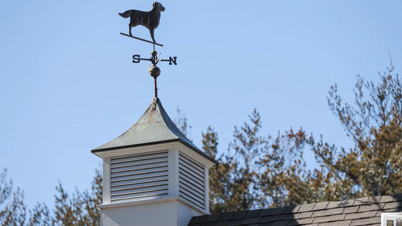 Photo of Outdoor in Wianno