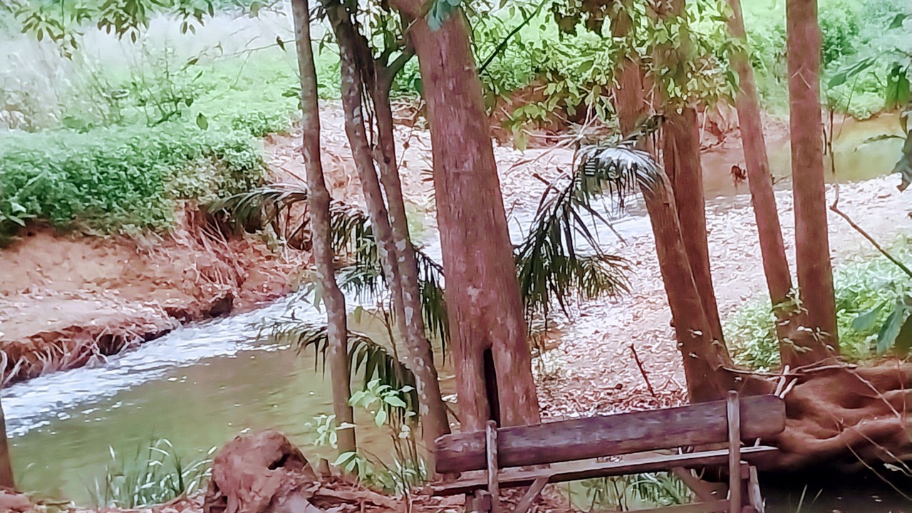 Photo of Others in Burringbar