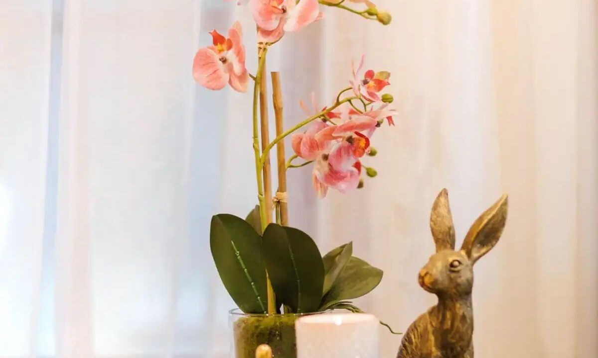 Photo of Others in Largs