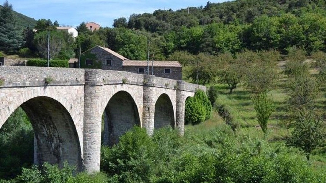 Photo of Others in Saint-Etienne-d'Albagnan