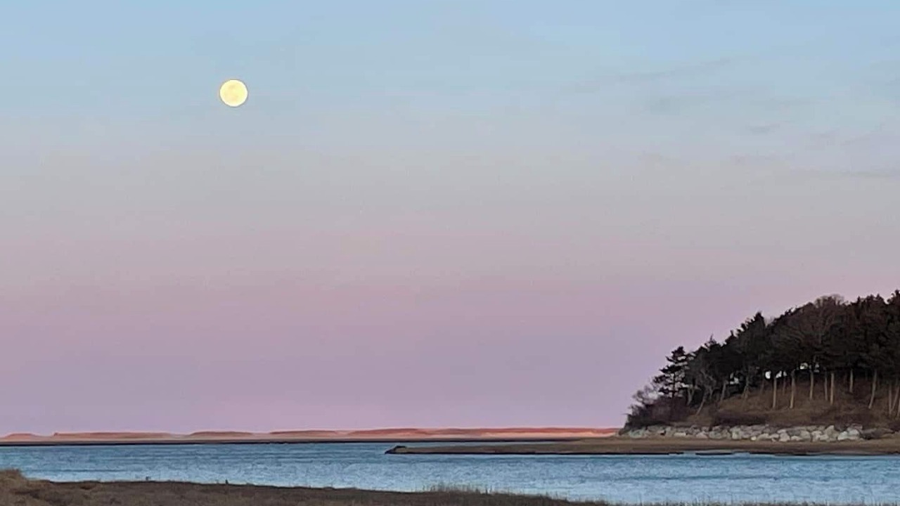 Photo of Others in Eastham