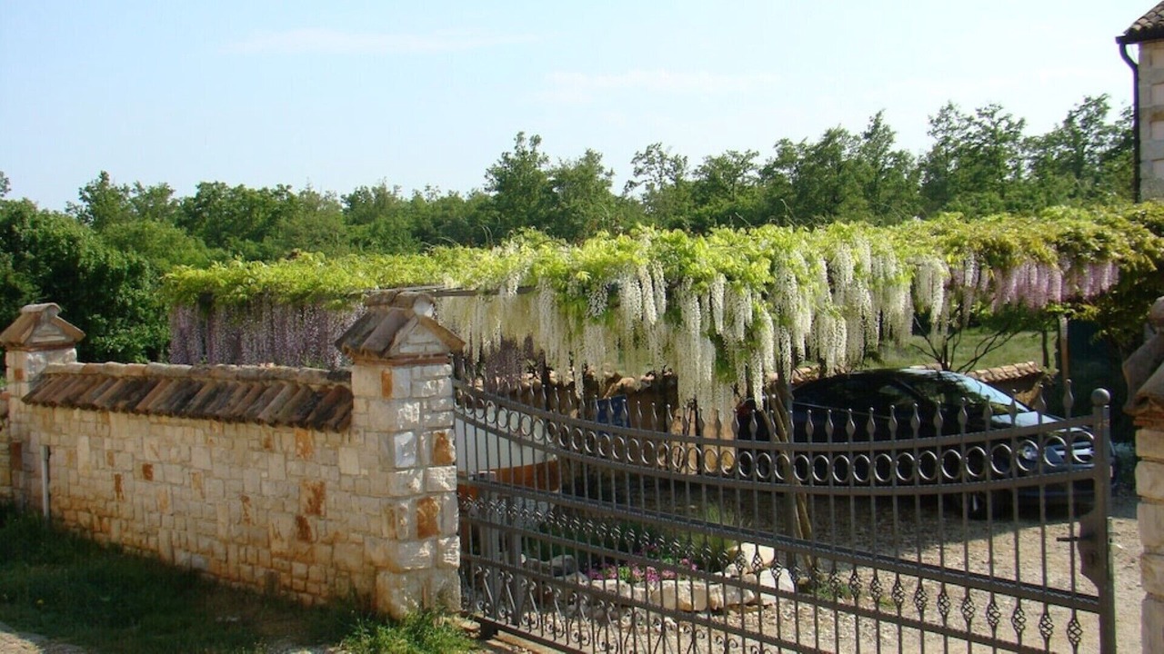 Photo of Outdoor in Baderna