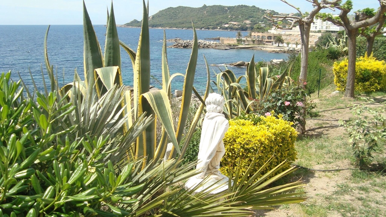 Photo of Outdoor in Casaglione