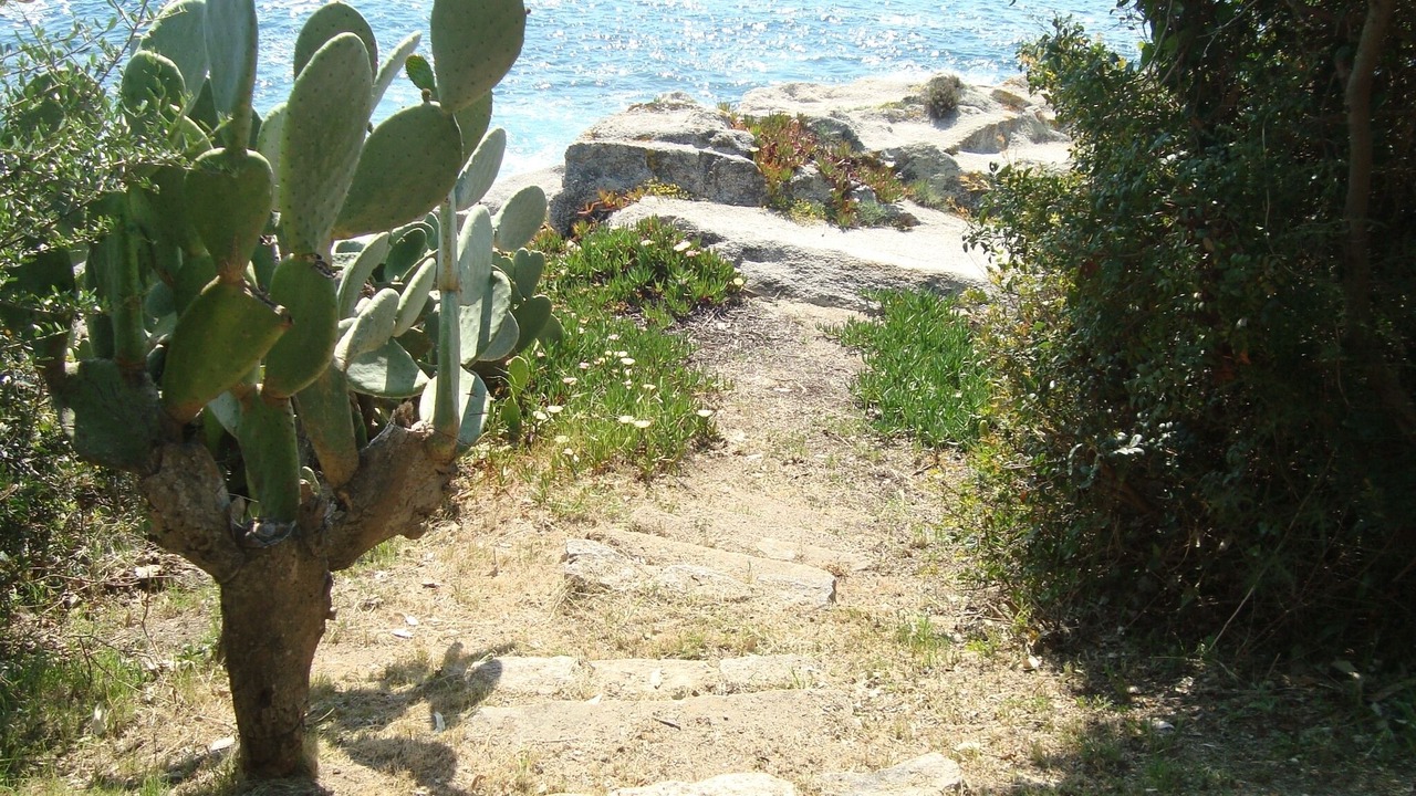 Photo of Outdoor in Casaglione