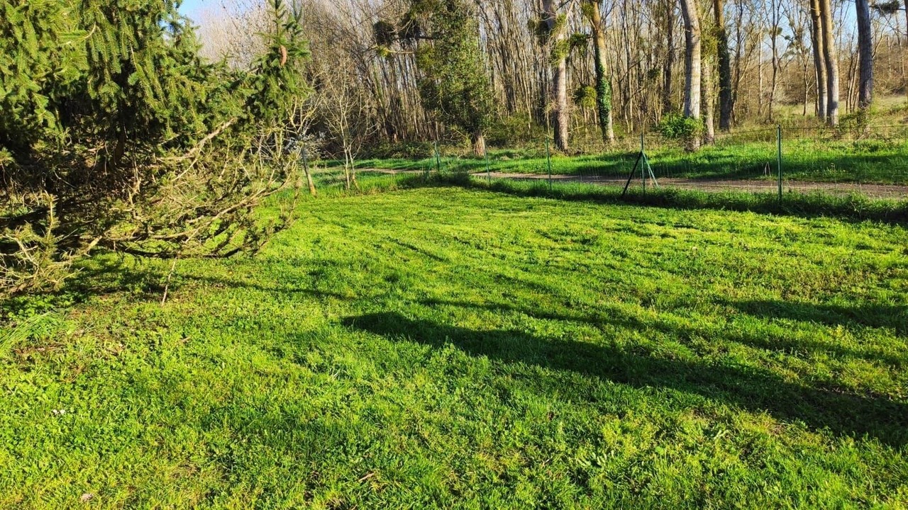 Photo of Outdoor in Noyers-sur-Cher