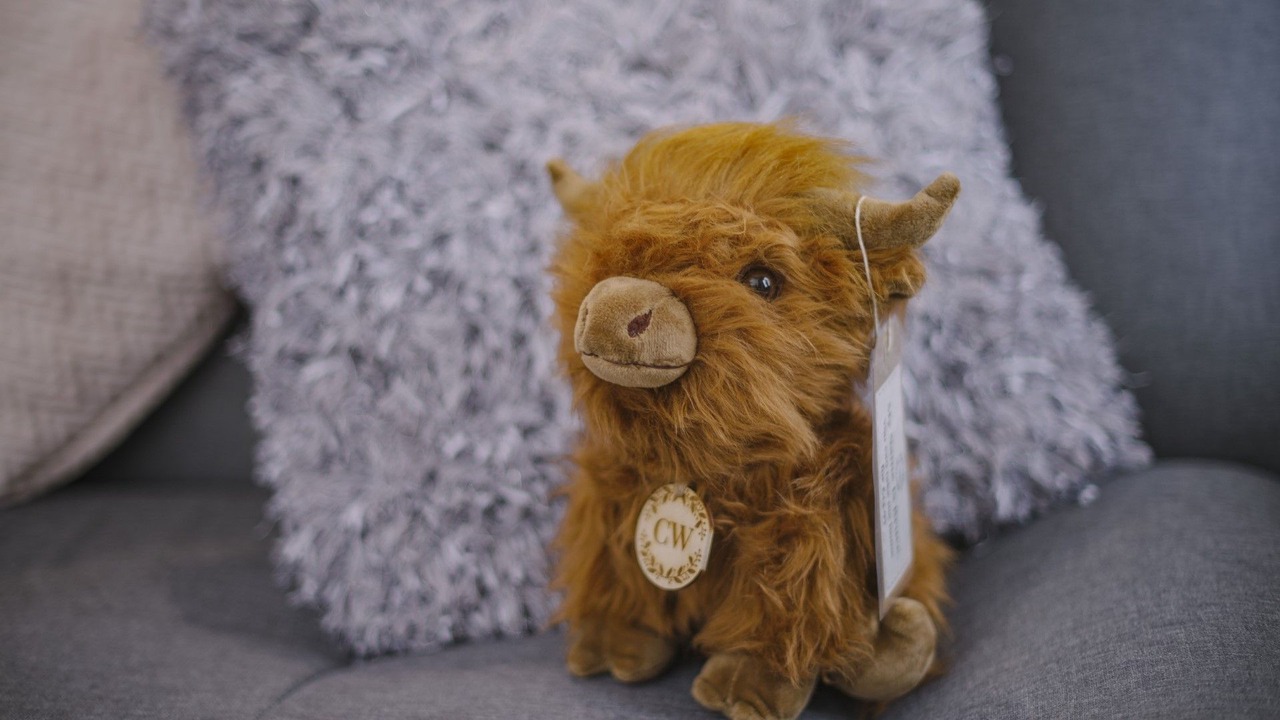 Photo of Others in Kingswear