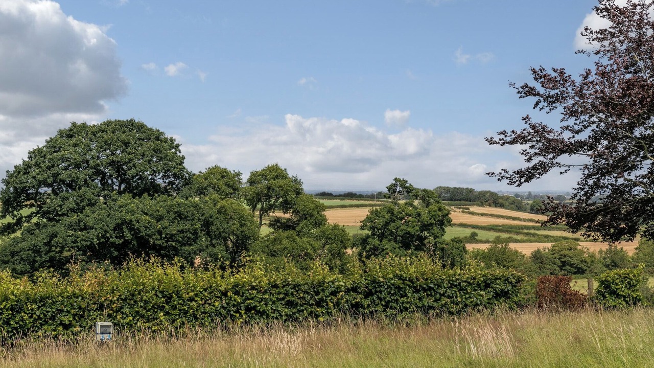 Photo of Others in Wigton