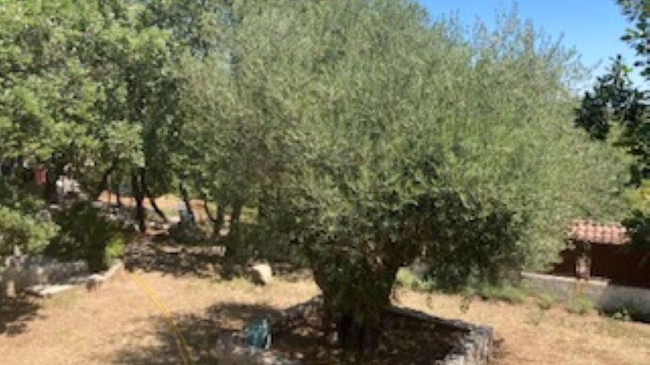 Photo of Outdoor in Lavilledieu