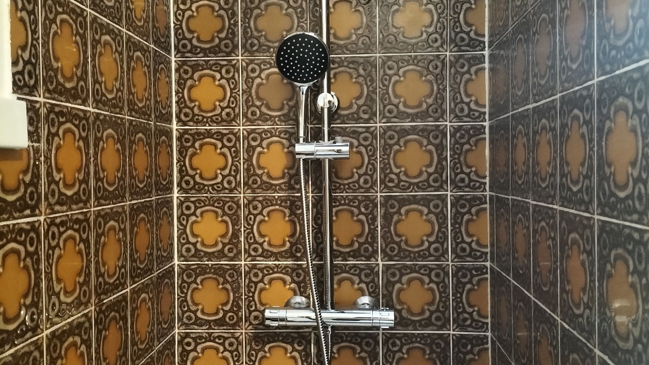 Photo of Bathroom in Digoin