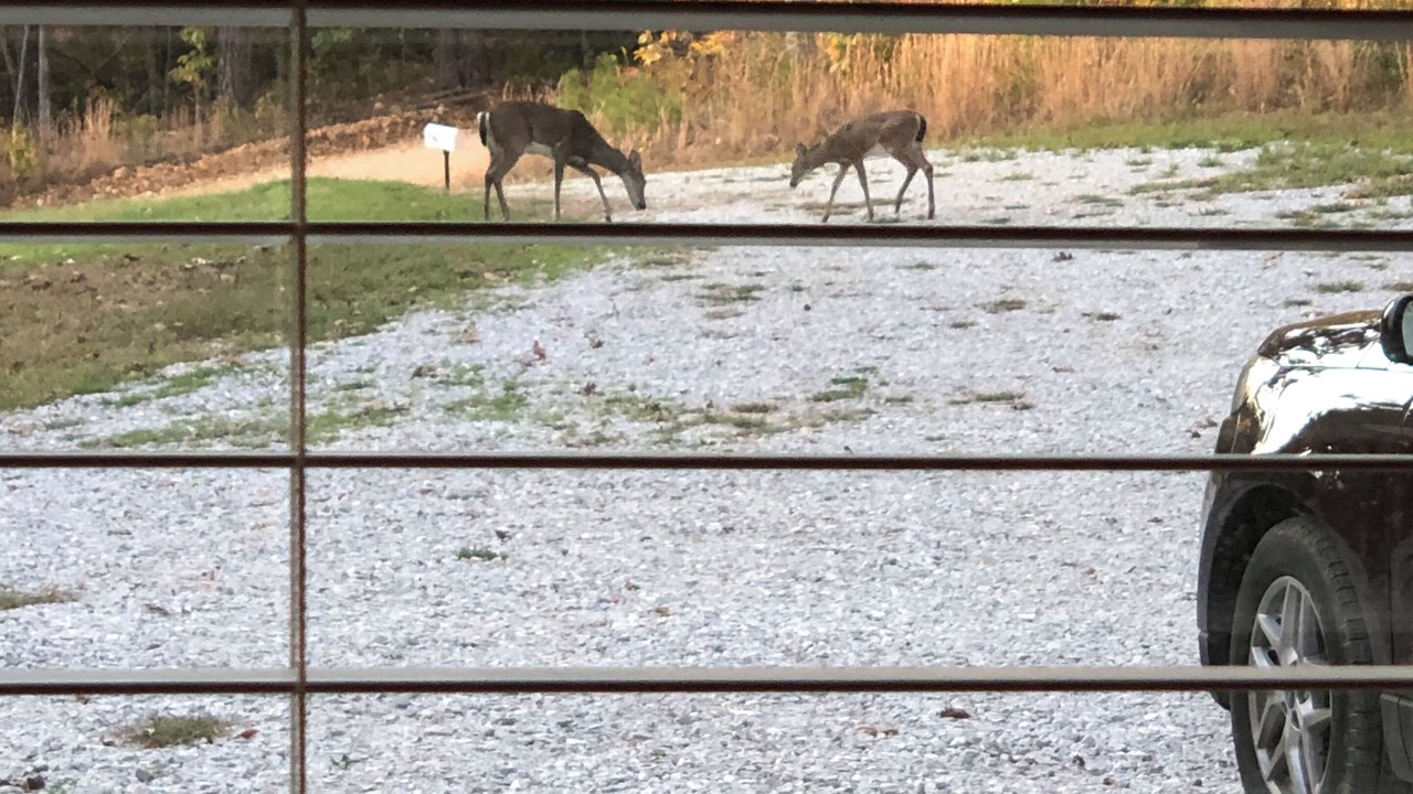 Photo of Others in Marble Falls
