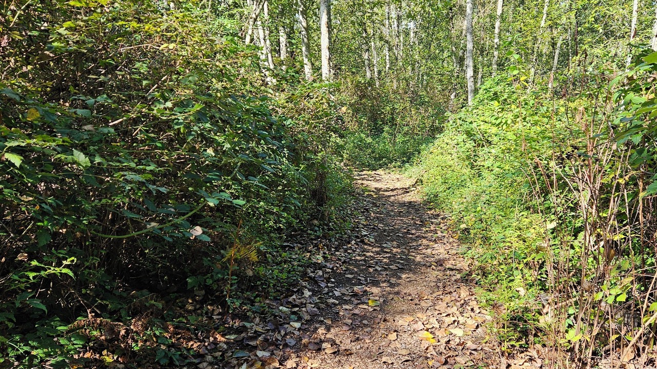 Photo of Others in Bellingham