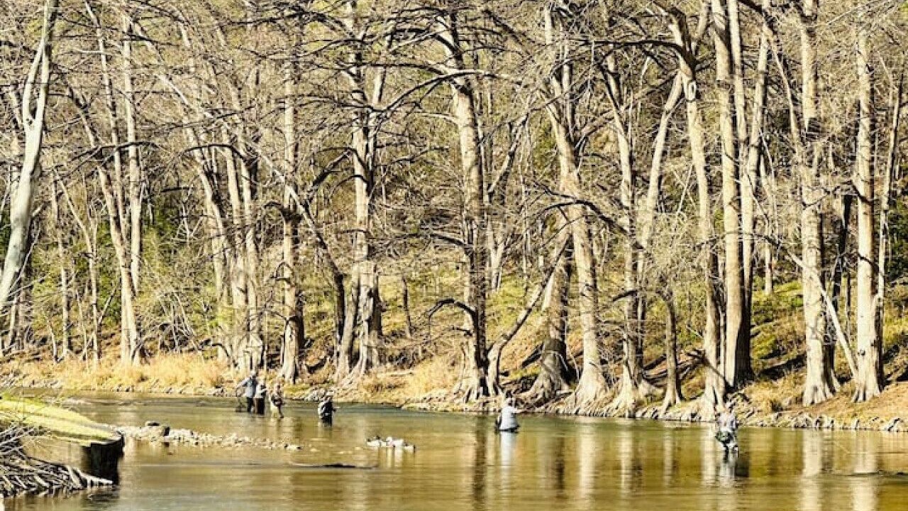Photo of Others in Canyon Lake