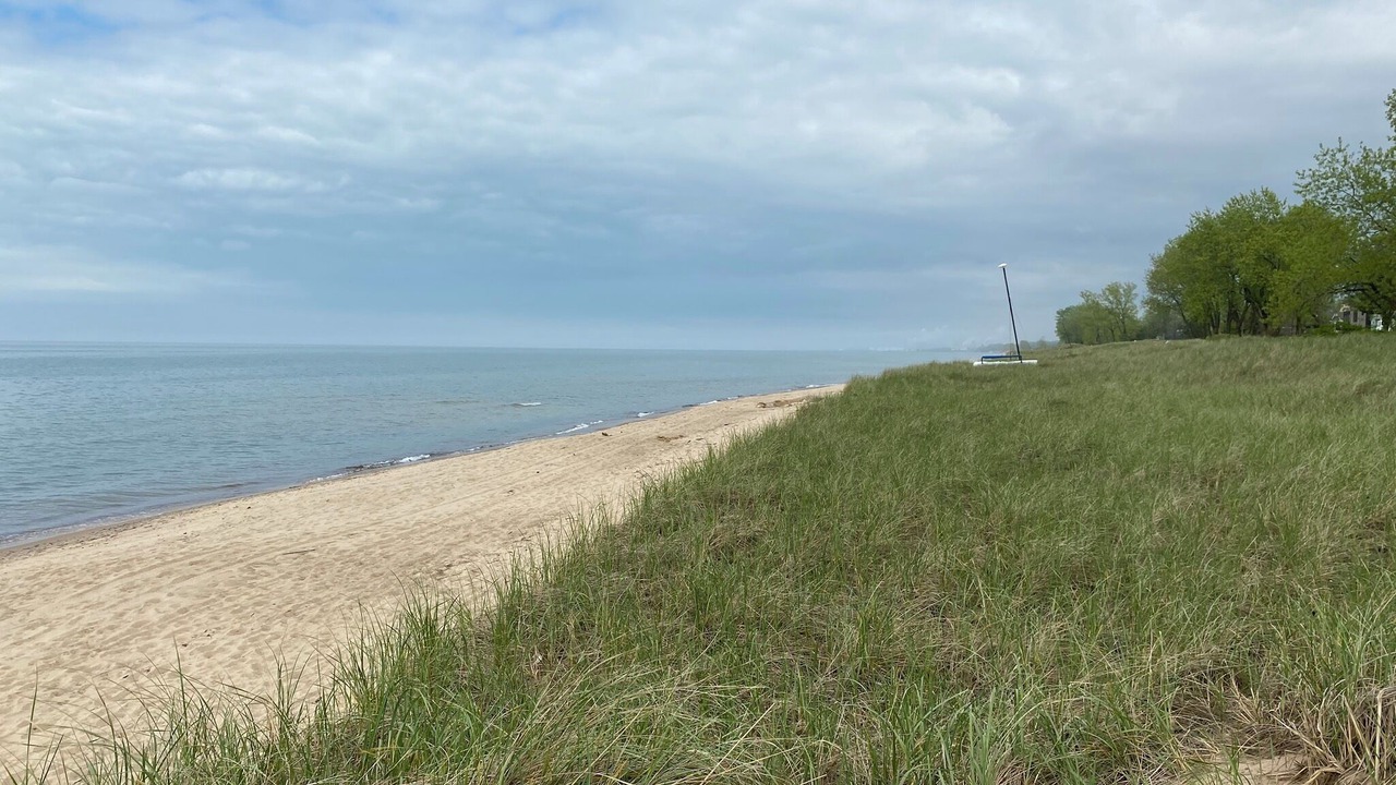 Photo of Others in Miller Beach