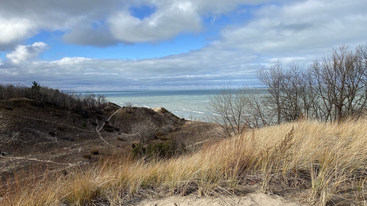 Photo of Others in Miller Beach