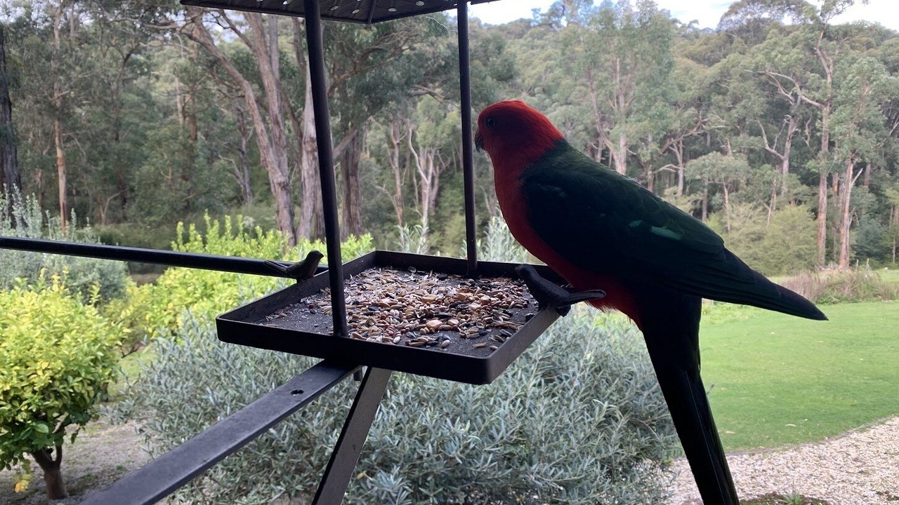 Photo of Outdoor in Don Valley