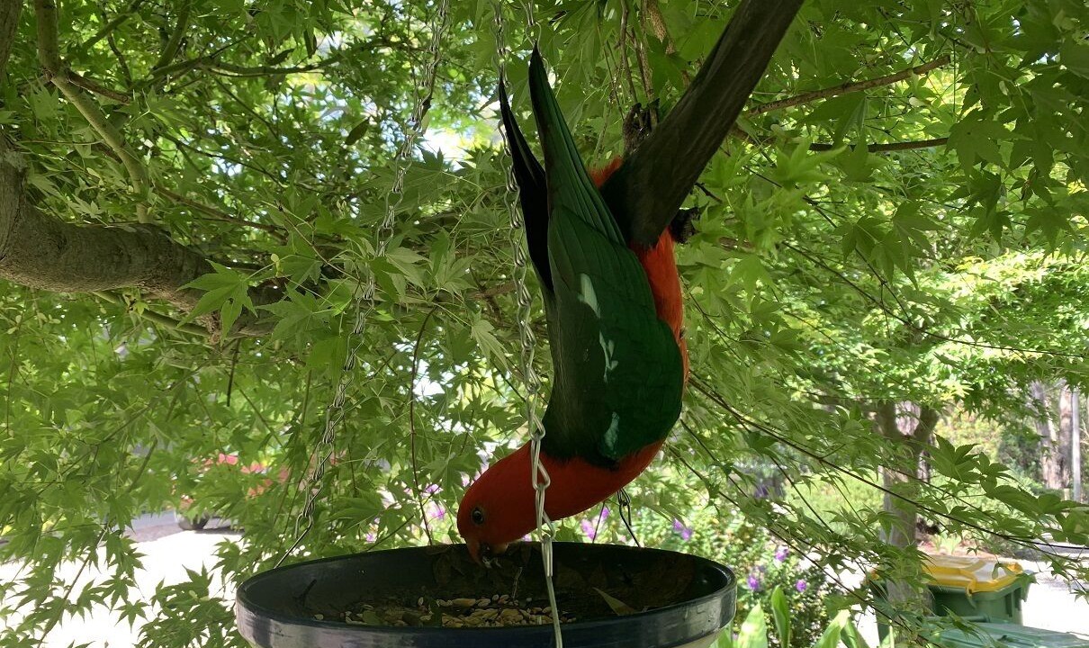 Photo of Others in Don Valley