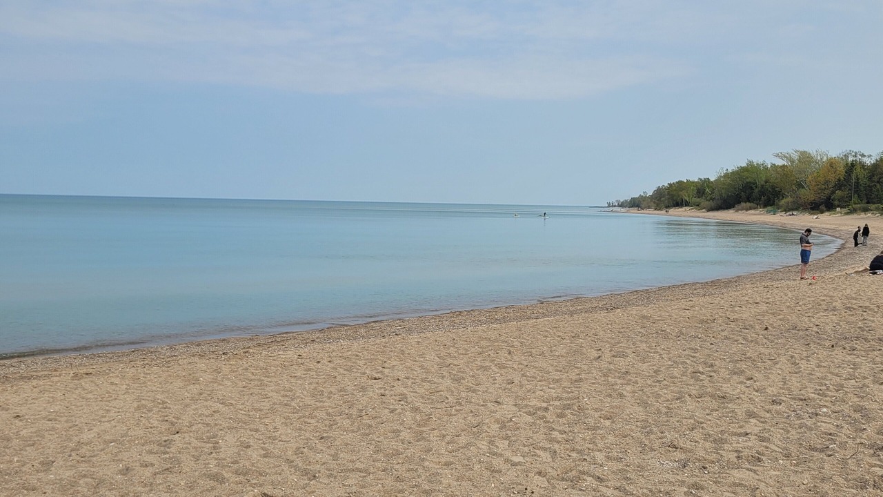 Photo of Others in Point Clark