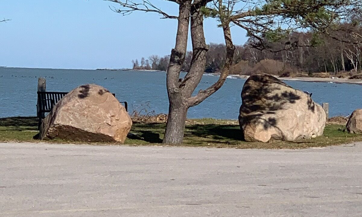 Photo of Outdoor in Point Clark