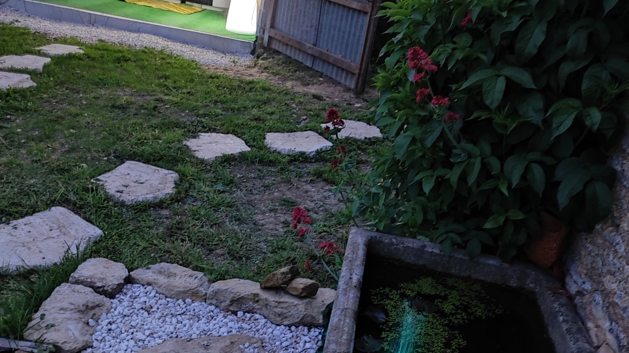 Photo of Outdoor in Vouille-les-Marais