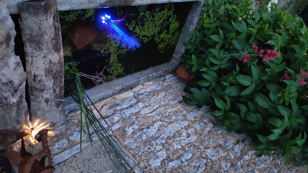 Photo of Outdoor in Vouille-les-Marais