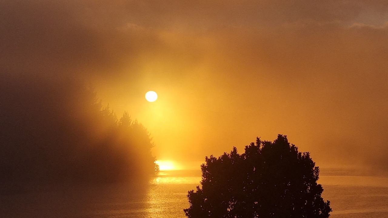 Photo of Others in Mangakino