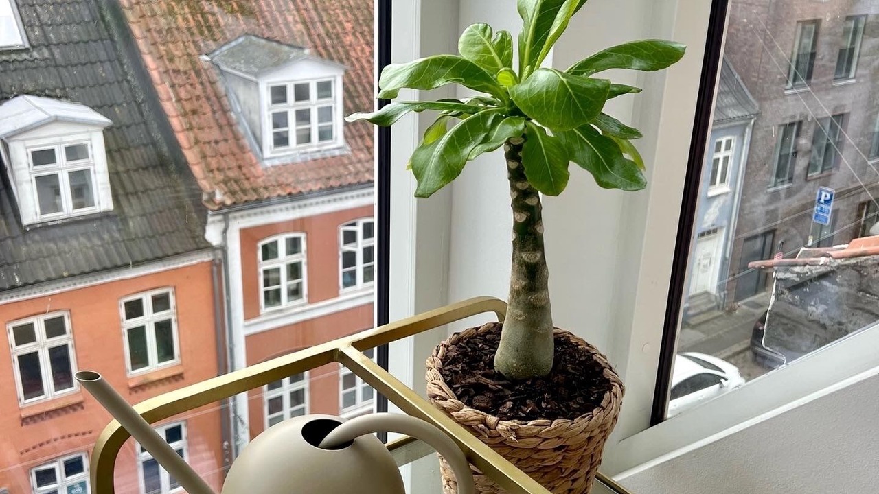 Photo of Bedroom in Midtbyen