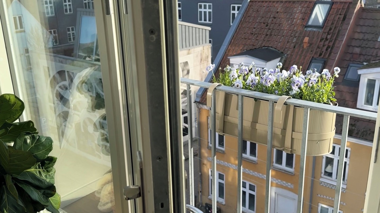 Photo of Others in Midtbyen