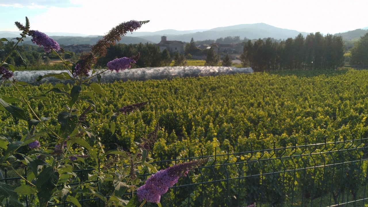 Photo of Others in Rosieres