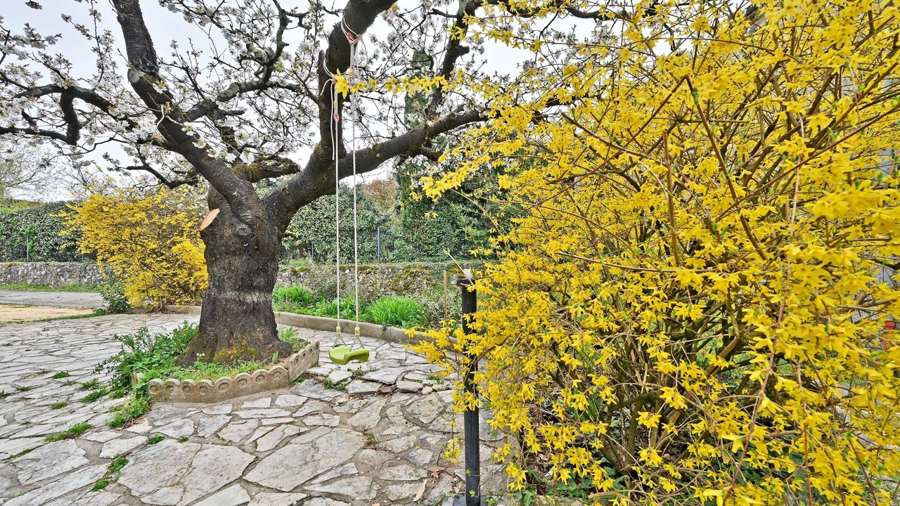 Photo of Outdoor in Rosieres