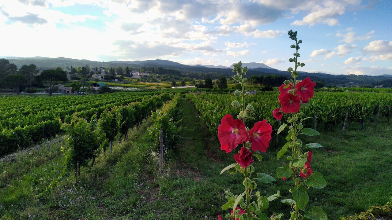 Photo of Outdoor in Rosieres