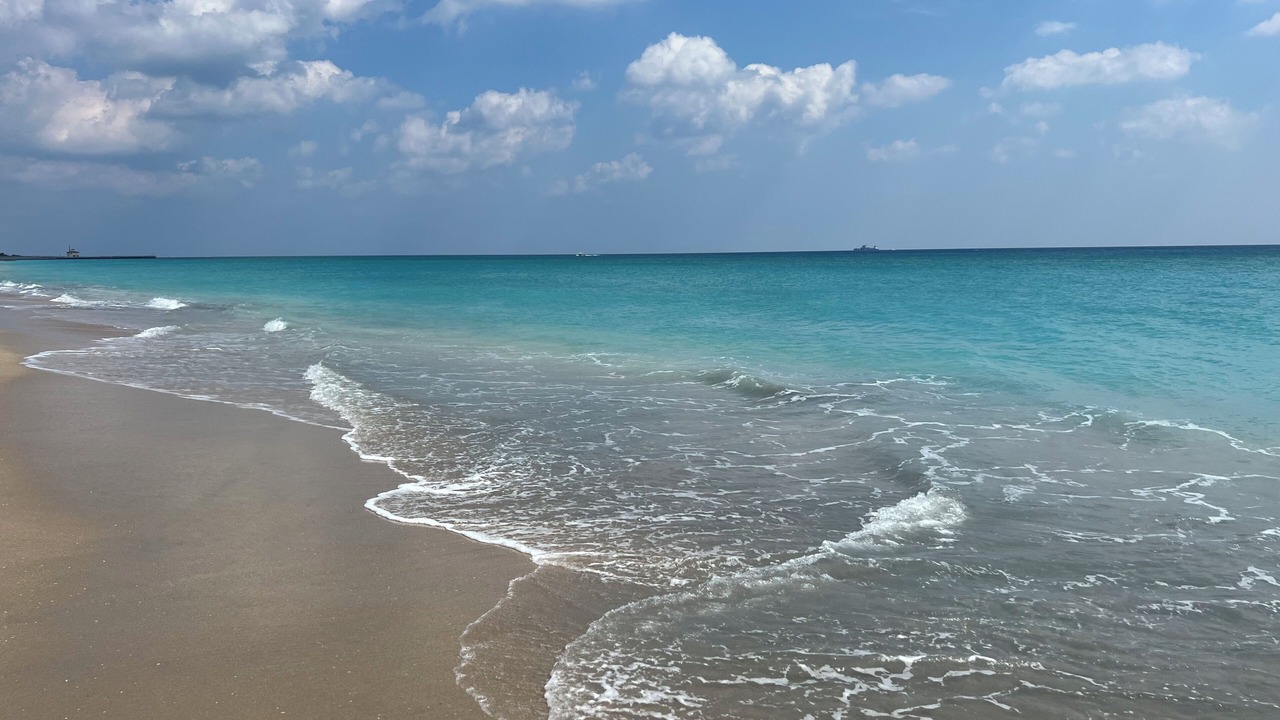 Photo of Others in Boynton Beach