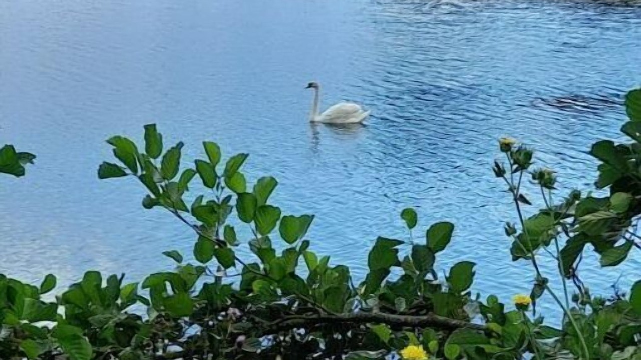 Photo of Others in Villers-sur-Mer