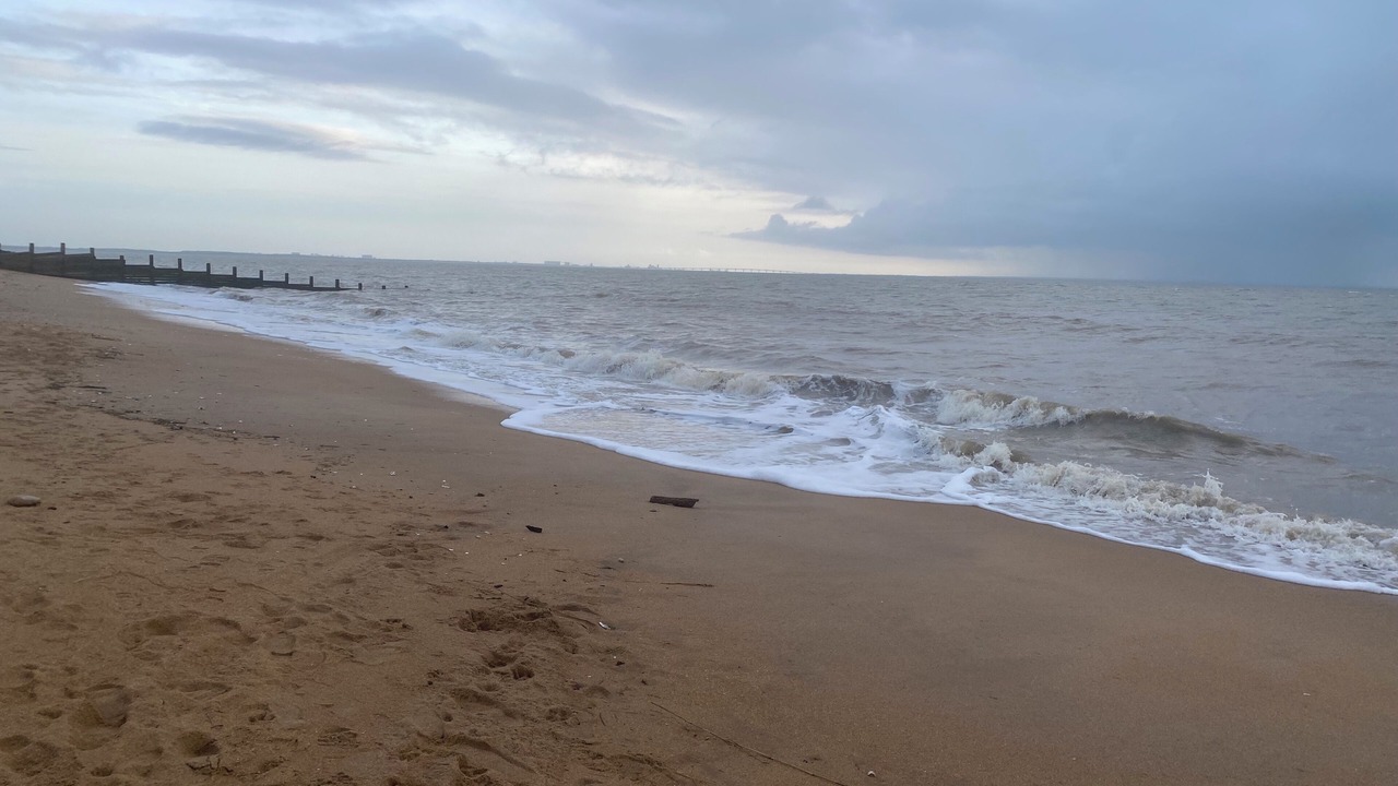 Photo of Others in Marans