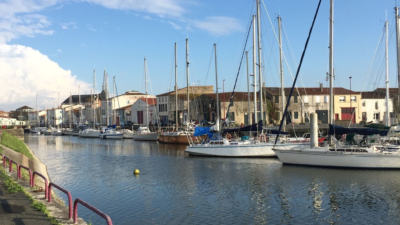 Photo of Others in Marans