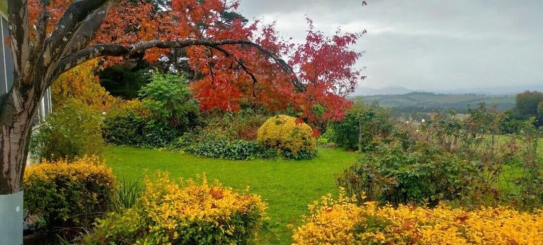 Photo of Outdoor in Doreen