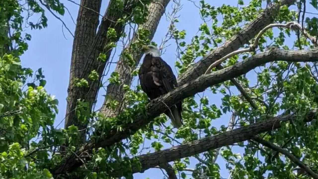 Photo of Outdoor in Shelby