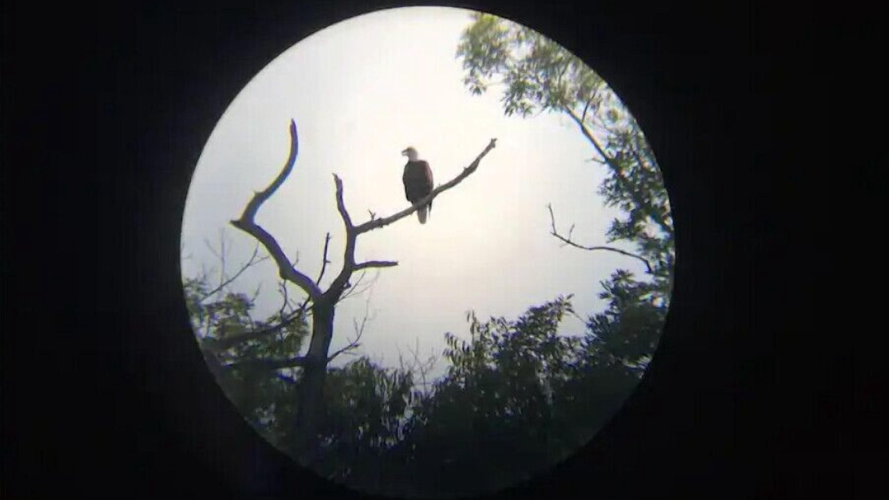 Photo of Others in Shelby