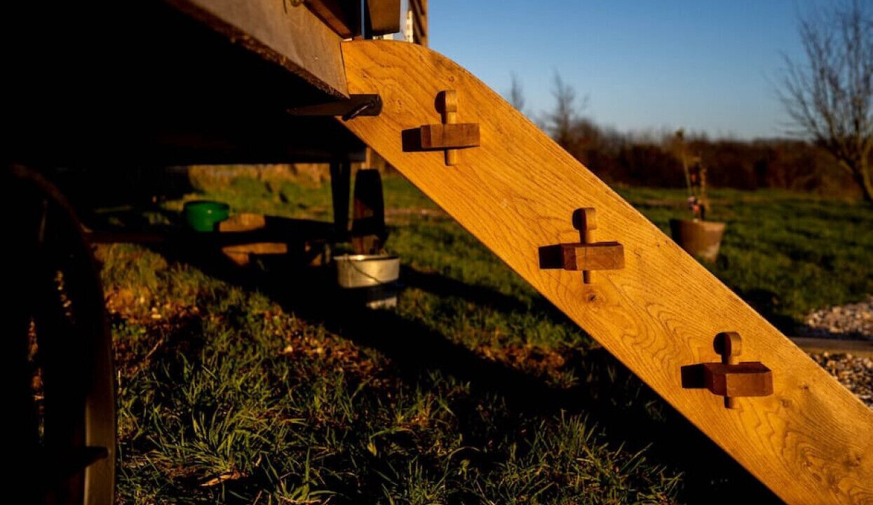 Photo of Others in Beaminster