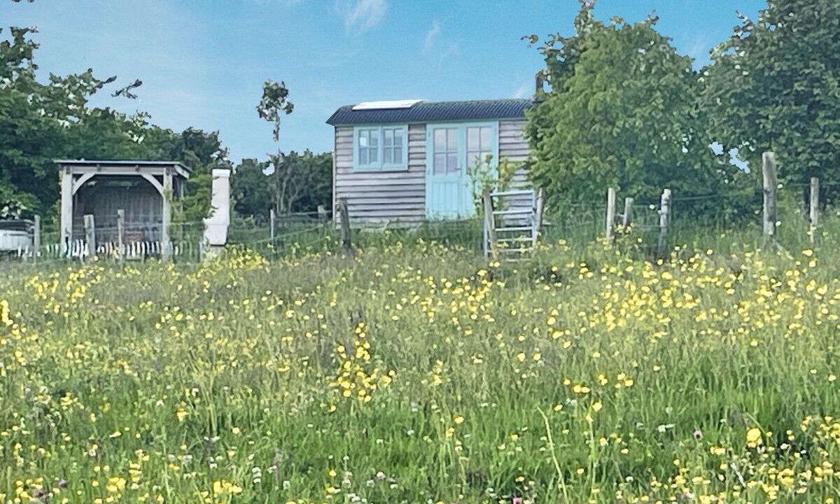 Photo of Outdoor in Beaminster